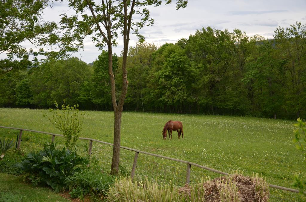 Bed and Breakfast La Gueriniere Cénac-et-Saint-Julien Exteriér fotografie