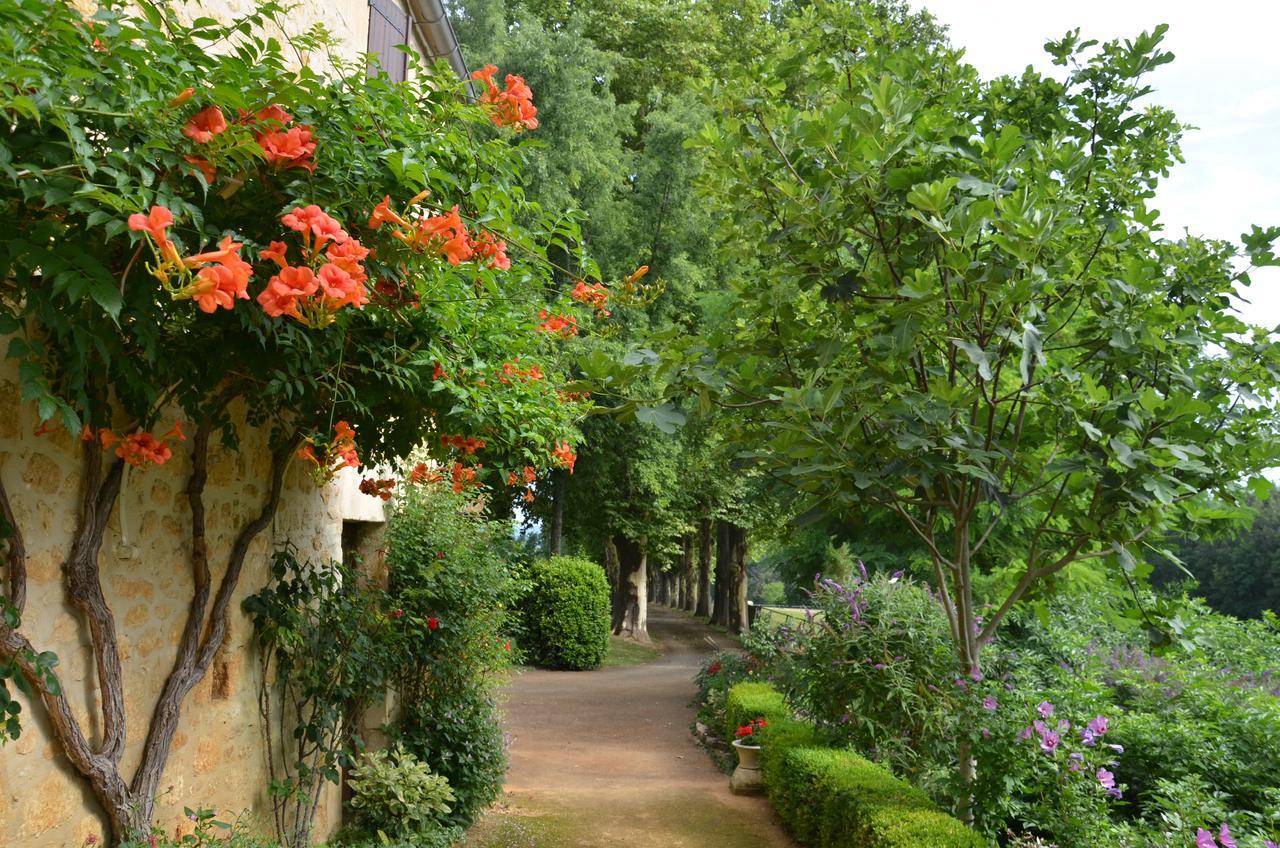 Bed and Breakfast La Gueriniere Cénac-et-Saint-Julien Exteriér fotografie